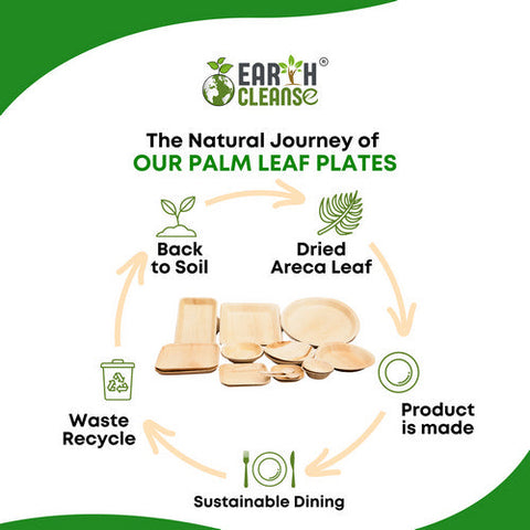 Earth Cleanse, Areca Palm Leaf Square Plates 10-Inch, Pack of 200 Earth Cleanse