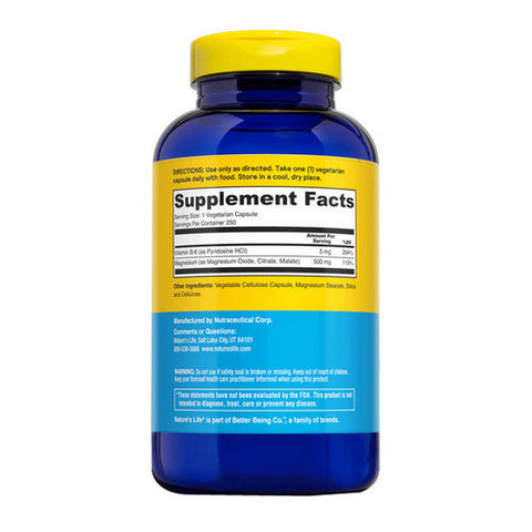 Nature's Life, Magnesium, 500 mg, 250 caps Nature's Life